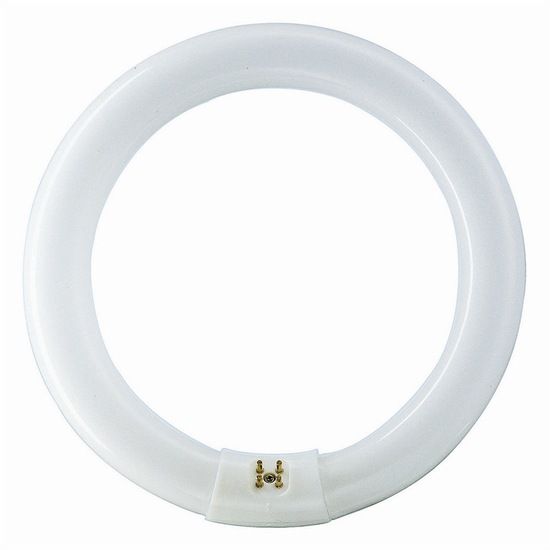 Circular Lamps