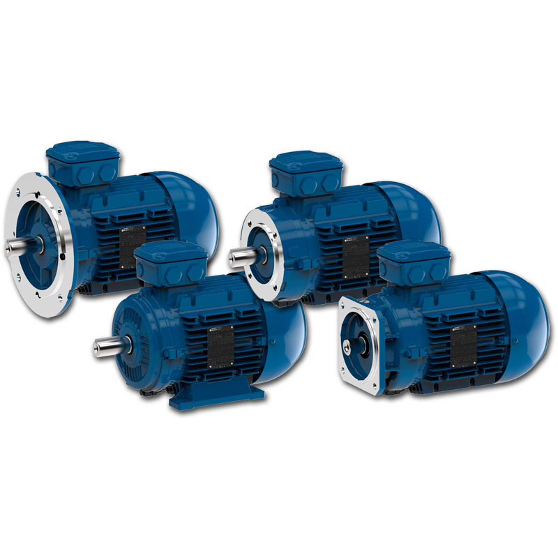 WEG EUSAS Modular Motors