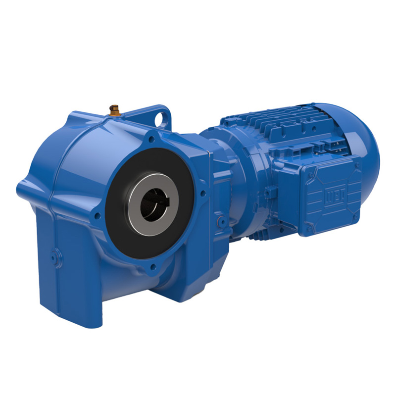 WG20 Helical Worm Geared Motor